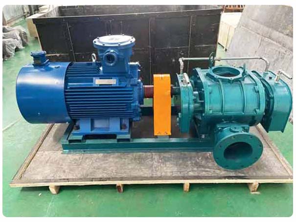 直聯(lián)傳動(dòng)羅茨風(fēng)機(jī)工廠(chǎng)實(shí)拍